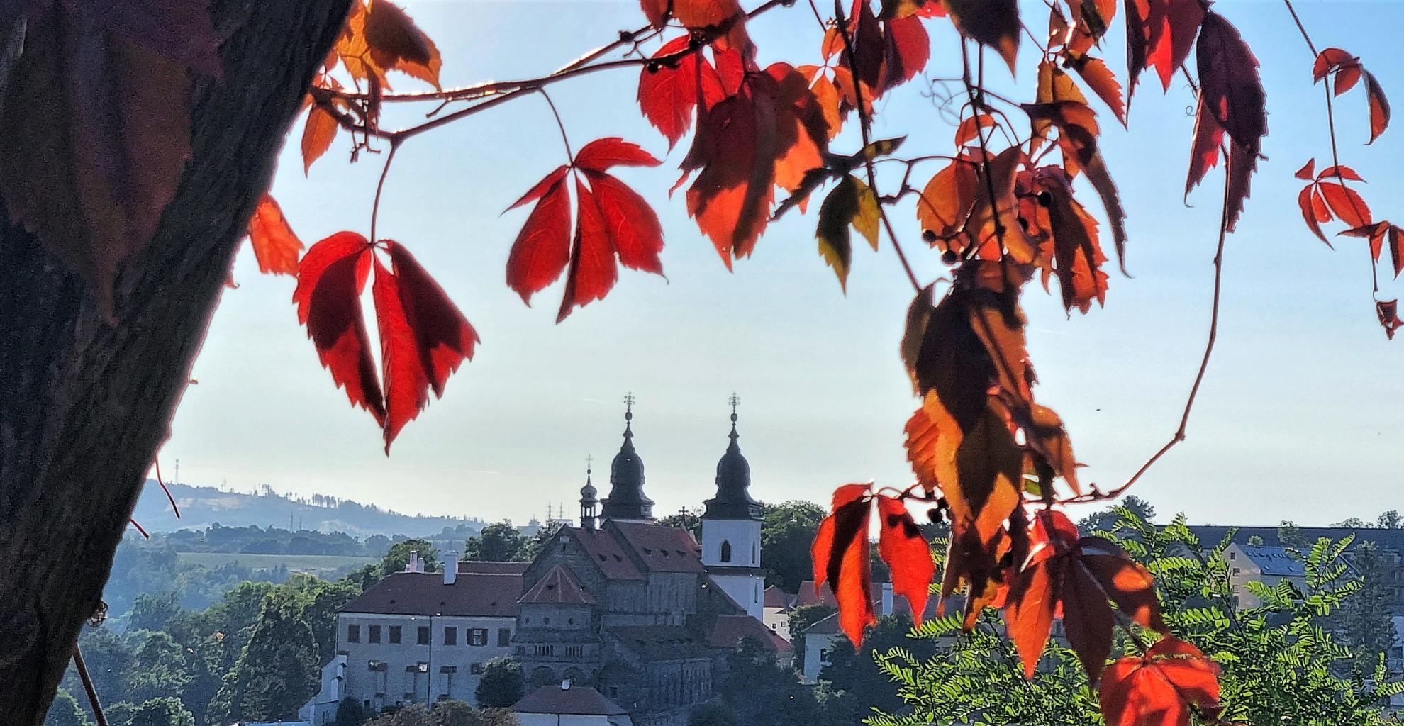Výsledky voleb do Pastorační rady farnosti